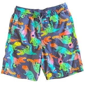 Cat & Jack Dinosaur Gray Swim Trunks with Drawstring Size L (12-14)